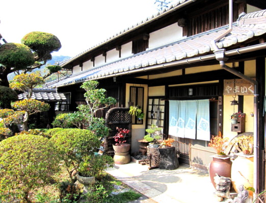 吹墨双魚文楕円皿/ 河上恭一郎作 - 生活骨董の店 やまいく